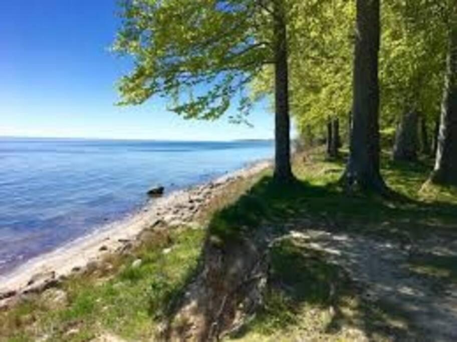 Aarhus 115 Leilighet Eksteriør bilde
