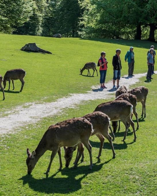 Aarhus 115 Leilighet Eksteriør bilde